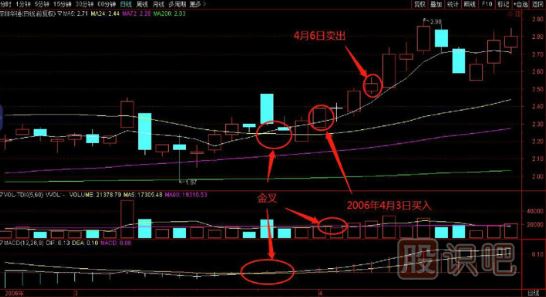 如何在逆勢中選擇上漲的個股？